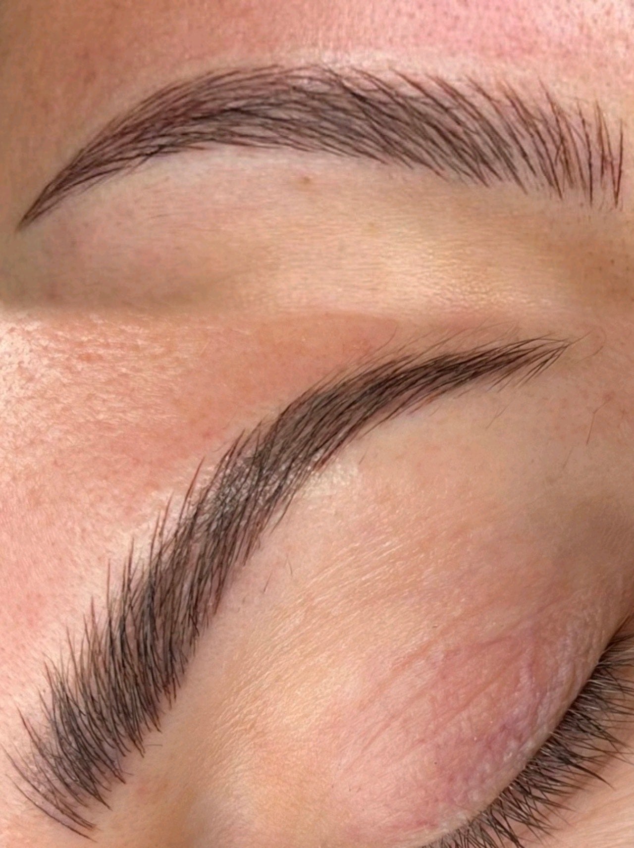 *new* VERTIBLADE BROWS